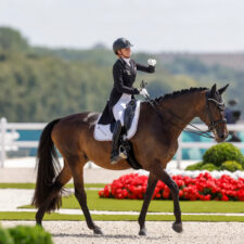 WBFSH Dressage Breeder Award zum vierten Mal (posthum) an Silke Druckenmüller