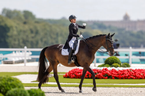 WBFSH Dressage Breeder Award zum vierten Mal (posthum) an Silke Druckenmüller